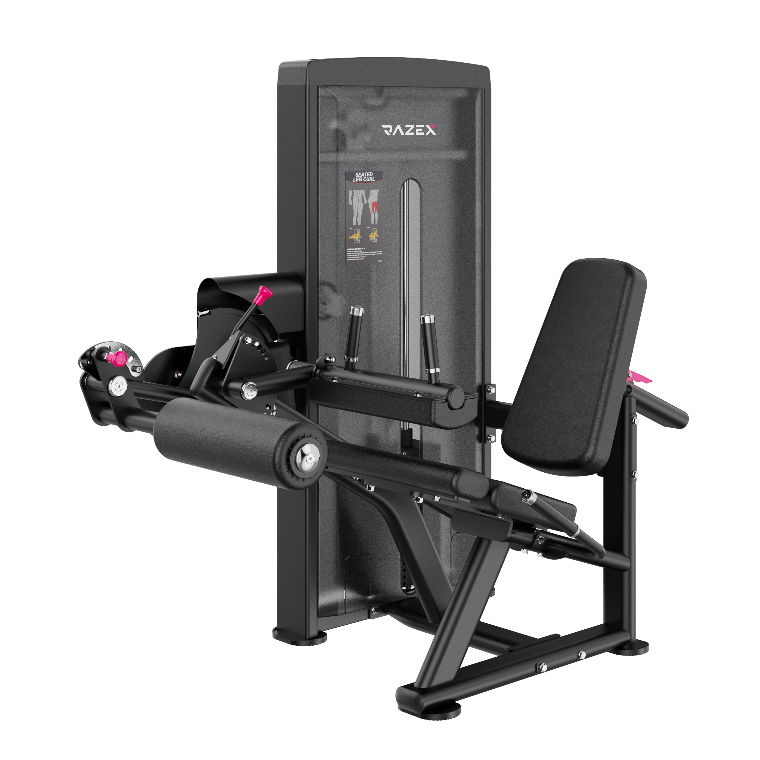 Seated Leg Curl