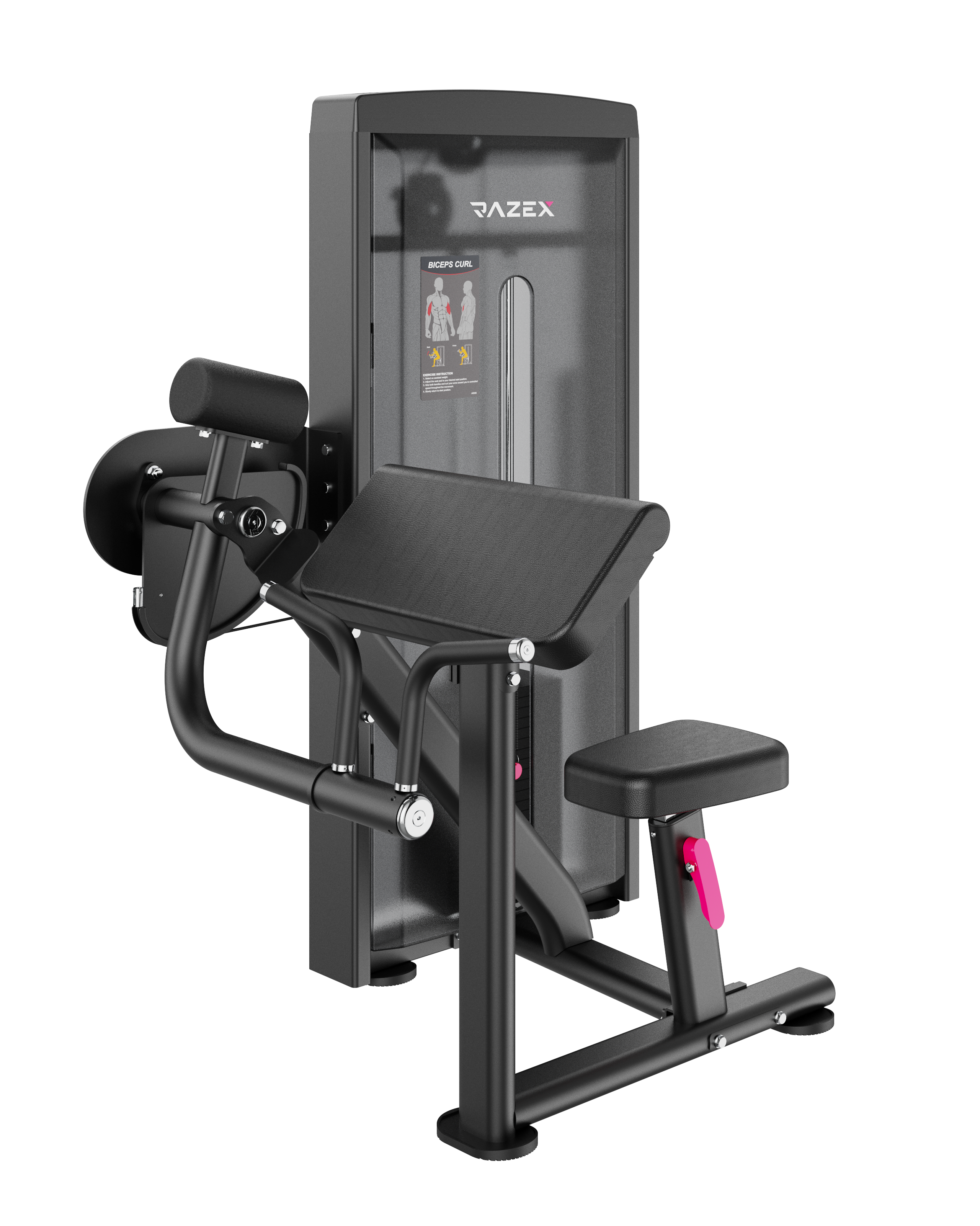 Biceps Curl