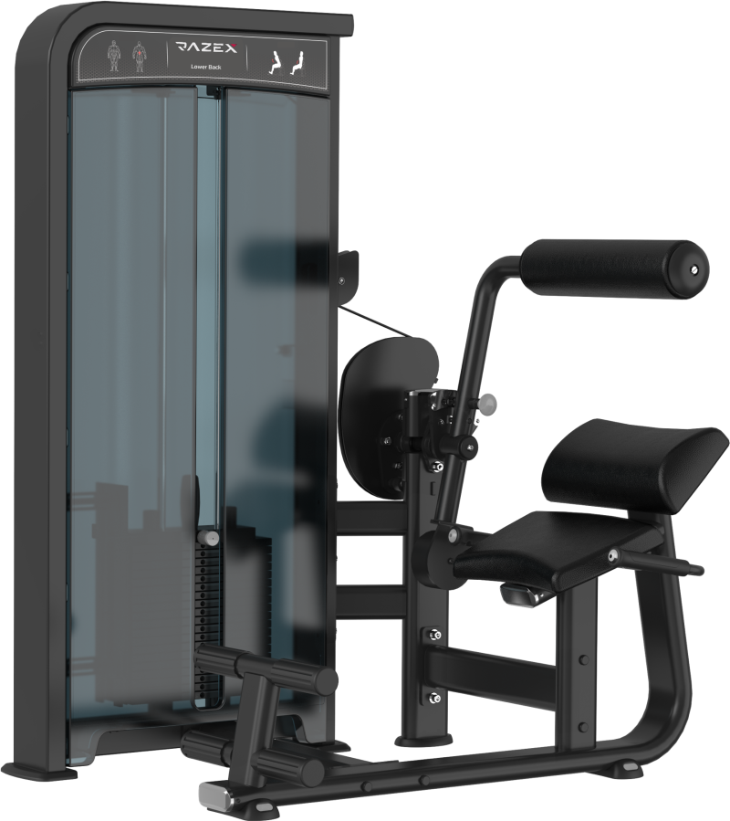 Φωτογραφία από Lower Back